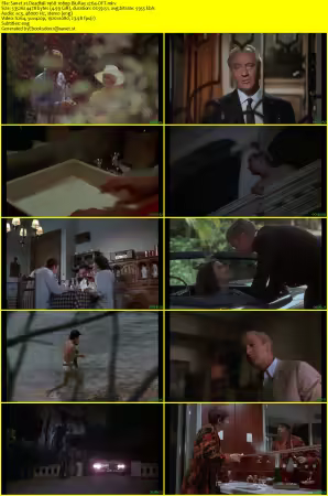 Deadfall 1968 1080p BluRay x264-OFT