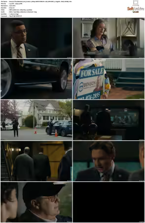 The Blacklist 2013 S10 1080p AMZN WEB-DL x265 SDR DDP 5 1 English - DarQ HONE