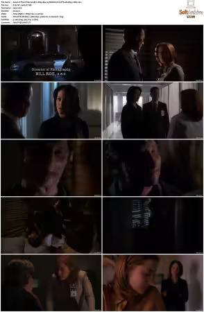 The X-Files S09 1080p Blu-ray REMUX AVC DTS-HD MA5.1-HDH