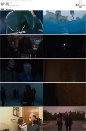 Channel Zero 2016 S01 S04 1080p BDRip DDP5 1 x265-Vialle