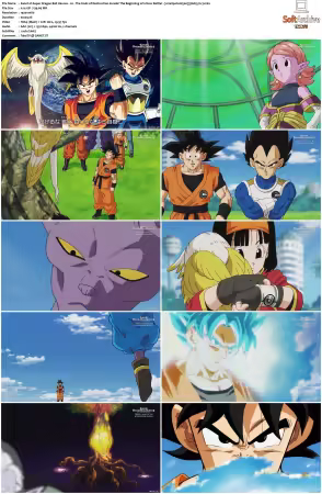 Super Dragon Ball Heroes S01 1080p x264-NOGRP