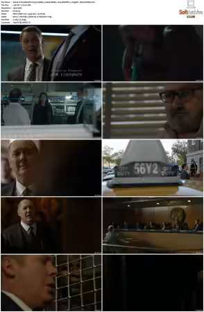 The Blacklist 2013 S06 1080p BluRay x265 SDR DDP 5 1 DarQ HONE