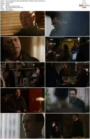 The Blacklist 2013 S09 1080p AMZN WEB-DL x265 SDR DDP 5.1 DarQ HONE