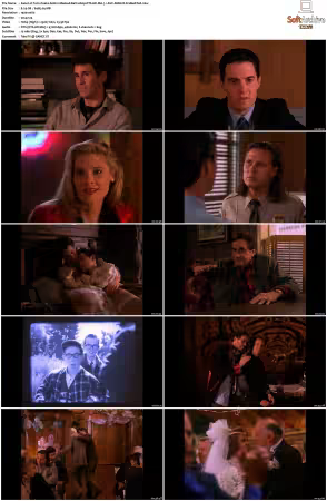 Twin Peaks S02 BluRay 1080p DTS-HD MA 71 AVC REMUX-FraMeSToR