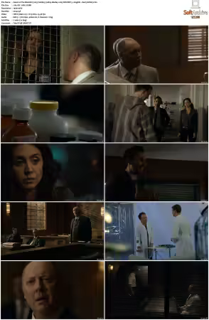 The Blacklist 2013 S06 1080p BluRay x265 SDR DDP 5 1 DarQ HONE