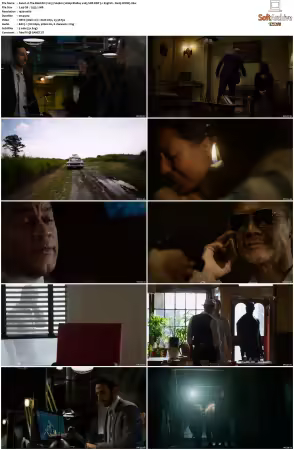 The Blacklist 2013 S04 1080p BluRay x265 SDR DDP 5 1 DarQ HONE