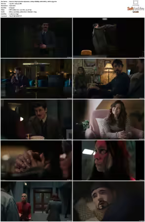 Dept. Q S01 1080p WEBRip 10Bit DDP5 1 HEVC-d3g
