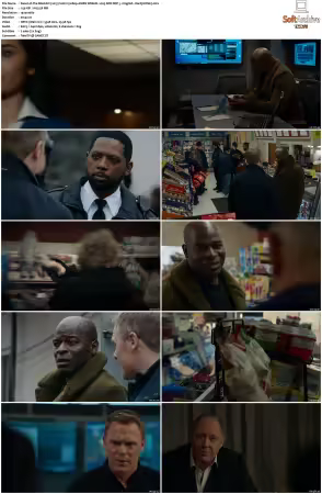 The Blacklist 2013 S10 1080p AMZN WEB-DL x265 SDR DDP 5 1 English - DarQ HONE