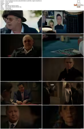 The Blacklist 2013 S10 1080p AMZN WEB-DL x265 SDR DDP 5 1 English - DarQ HONE