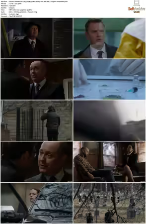 The Blacklist 2013 S05 1080p BluRay x265 DDP 5 1 - DarQ HONE