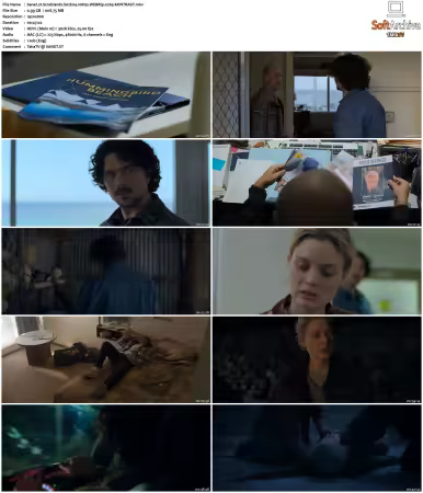 Scrublands S02 1080p WEBRip x265-KONTRAST