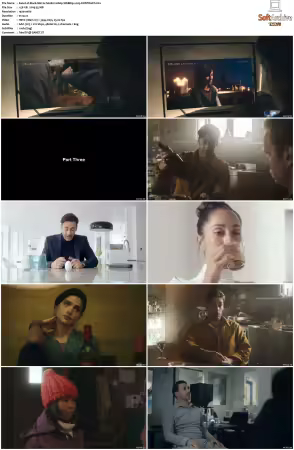 Black Mirror S02 1080p WEBRip x265-KONTRAST