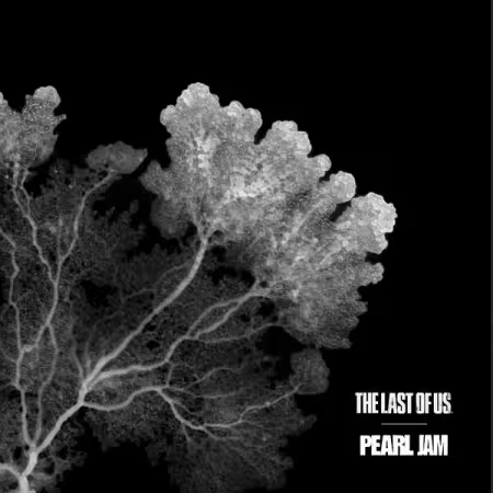 Pearl Jam - The Last of Us (2025) (Hi-Res) FLAC/MP3