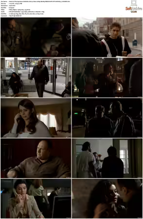 The Sopranos S06 1080p BluRay REMUX AVC DTS-HD MA 5.1-NOGRP