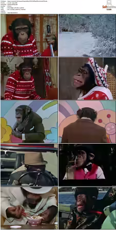 Lancelot Link Secret Chimp S01 NTSC DVDRip DD2 0 H264-BTN
