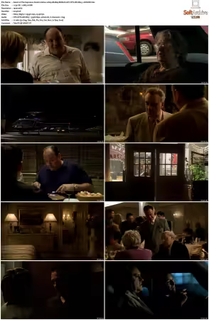 The Sopranos S04 1080p BluRay REMUX AVC DTS-HD MA 5.1-NOGRP