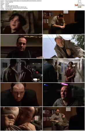 The Sopranos S01 1080p BluRay REMUX AVC DTS-HD MA 5.1-NOGRP