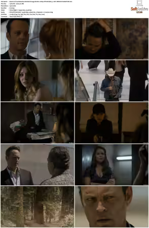 True Detective S02 2015 BluRay 1080p DTS-HD MA 5.1 AVC REMUX-FraMeSToR