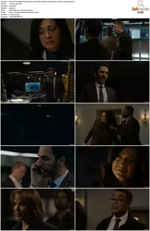The Blacklist 2013 S09 1080p AMZN WEB-DL x265 SDR DDP 5.1 DarQ HONE
