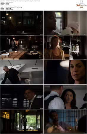 The Blacklist S03 1080p BluRay x265 DDP 5 1 English - DarQ HONE