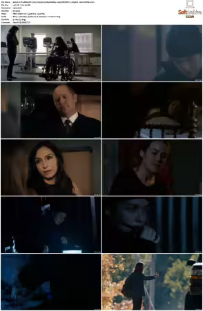 The Blacklist 2013 S05 1080p BluRay x265 DDP 5 1 - DarQ HONE