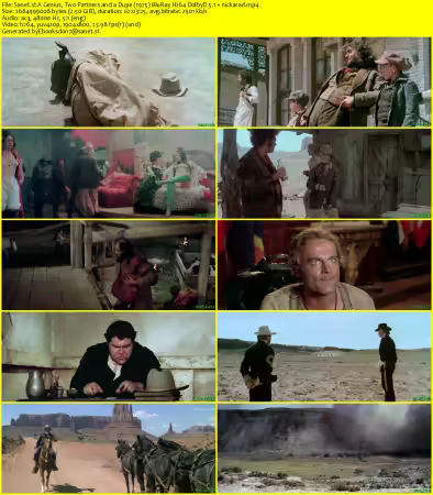 A Genius Two Partners and a Dupe 1975 BluRay H264 DolbyD 5.1 nickarad