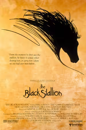 The Black Stallion 1979 720p PTV WEB-DL AAC 2.0 H264-PiRaTeS