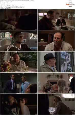 The Sopranos S01 1080p BluRay REMUX AVC DTS-HD MA 5.1-NOGRP