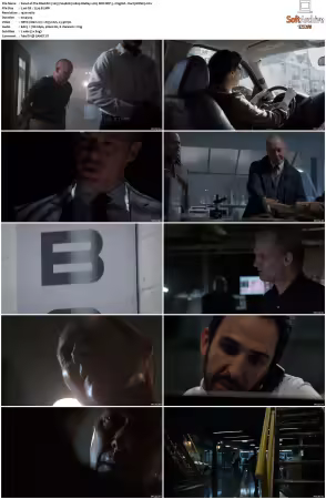 The Blacklist 2013 S04 1080p BluRay x265 SDR DDP 5 1 DarQ HONE