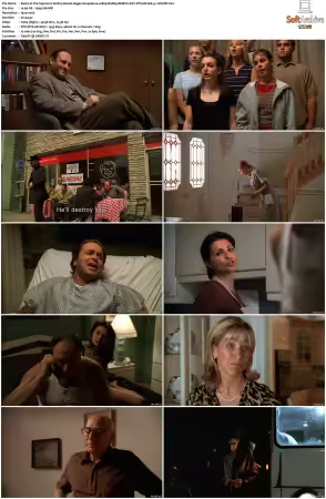 The Sopranos S01 1080p BluRay REMUX AVC DTS-HD MA 5.1-NOGRP