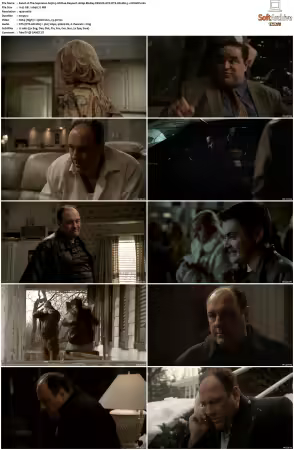 The Sopranos S05 1080p BluRay REMUX AVC DTS-HD MA 5.1-NOGRP