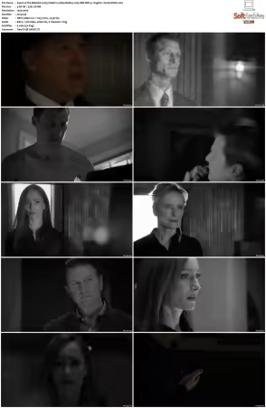 The Blacklist S08 1080p BluRay x265 SDR DDP 5 1 English - DarQ HONE