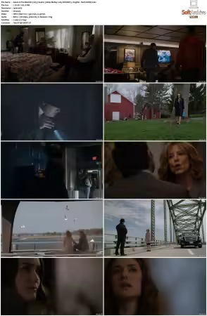 The Blacklist 2013 S04 1080p BluRay x265 SDR DDP 5 1 DarQ HONE