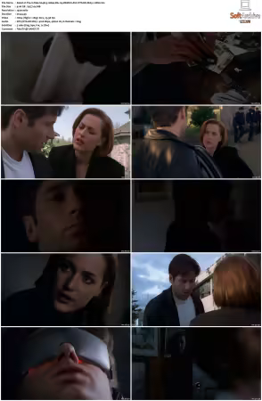 The X-Files S04 1080p Blu-ray REMUX AVC DTS-HD MA5.1-HDH
