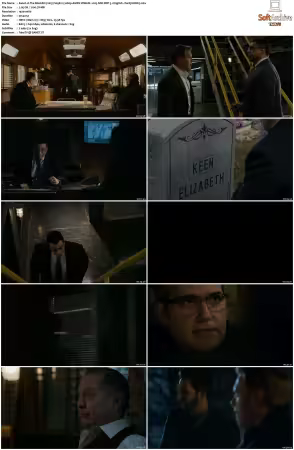 The Blacklist 2013 S09 1080p AMZN WEB-DL x265 SDR DDP 5.1 DarQ HONE