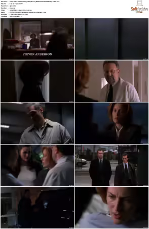 The X-Files S08 1080p Blu-ray REMUX AVC DTS-HD MA5.1-HDH
