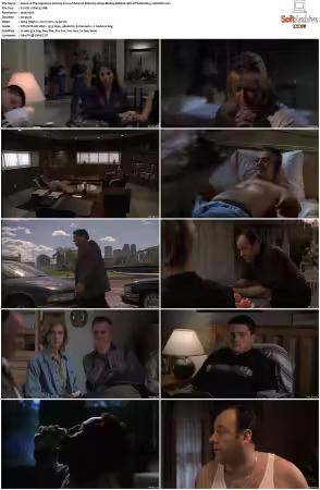 The Sopranos S02 1080p BluRay REMUX AVC DTS-HD MA 5 1-NOGRP