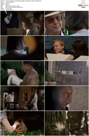The Blacklist 2013 S04 1080p BluRay x265 SDR DDP 5 1 DarQ HONE