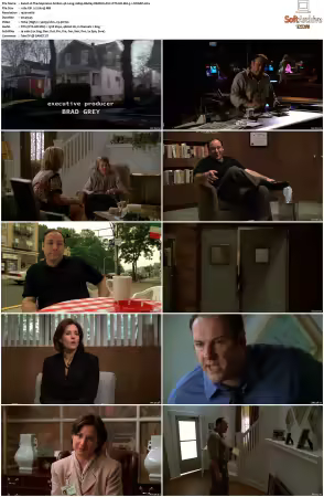 The Sopranos S01 1080p BluRay REMUX AVC DTS-HD MA 5.1-NOGRP