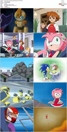 Sonic X 2003 S02 JAPANESE 480p BluRay DD5.1 AVC REMUX