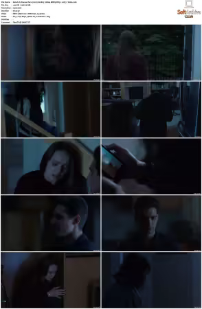 Channel Zero 2016 S01 S04 1080p BDRip DDP5 1 x265-Vialle