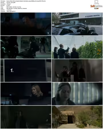 Black Mirror S03 720p WEBRip 2CH x265 HEVC-PSA