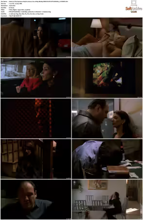 The Sopranos S03 1080p BluRay REMUX AVC DTS-HD MA 5.1-NOGRP