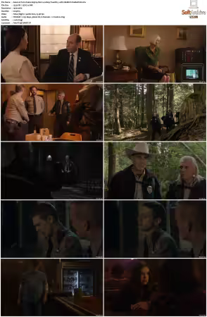 Twin Peaks S03 BluRay 1080p TrueHD 5.1 AVC REMUX-FraMeSToR