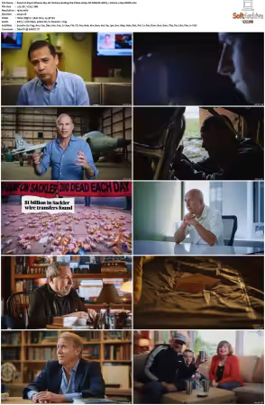 Pepsi Wheres My Jet S01 1080p NF WEB-DL DDP5.1 Atmos x264-NPMS
