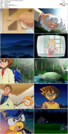 Sonic X 2003 S02 JAPANESE 480p BluRay DD5.1 AVC REMUX
