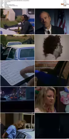 The .BI Files S03 AMZN WEB-DL DD+2 0 H 264-playWEB