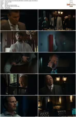 The Blacklist 2013 S10 1080p AMZN WEB-DL x265 SDR DDP 5 1 English - DarQ HONE