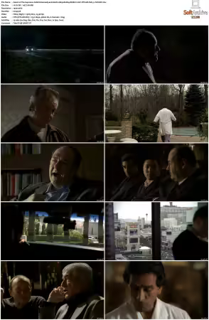 The Sopranos S06 1080p BluRay REMUX AVC DTS-HD MA 5.1-NOGRP
