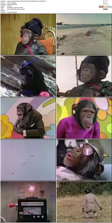 Lancelot Link Secret Chimp S01 NTSC DVDRip DD2 0 H264-BTN